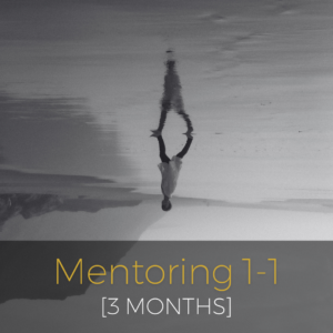 Mentoring  1-1 [3 months]