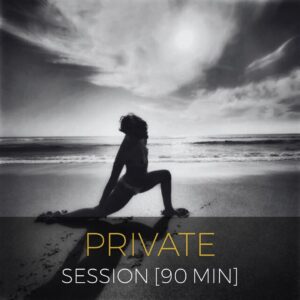 Private Session [90 min]