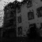 Read more about the article Estímulos