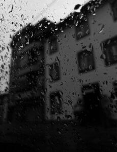 Read more about the article Estímulos