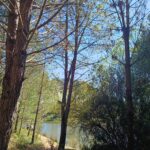 Read more about the article [sem filtros]