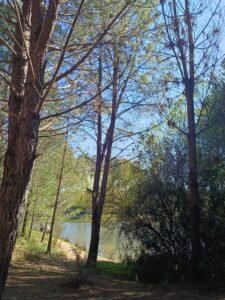 Read more about the article [sem filtros]