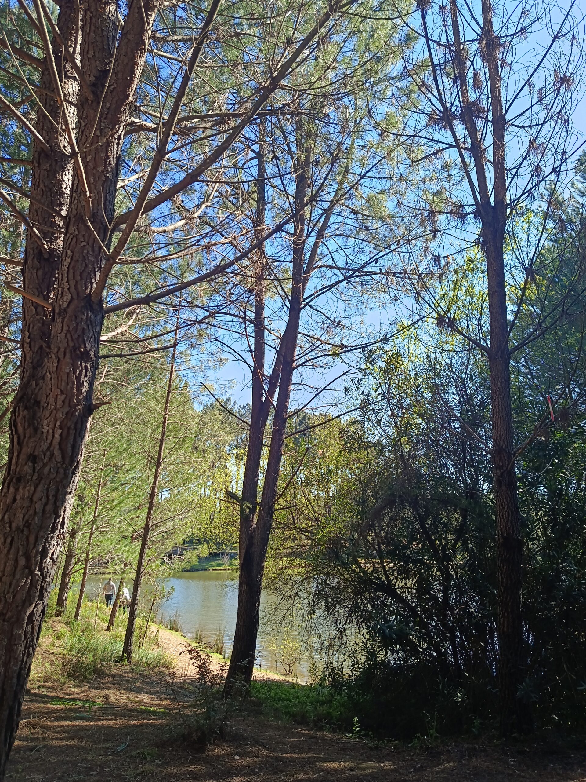 You are currently viewing [sem filtros]